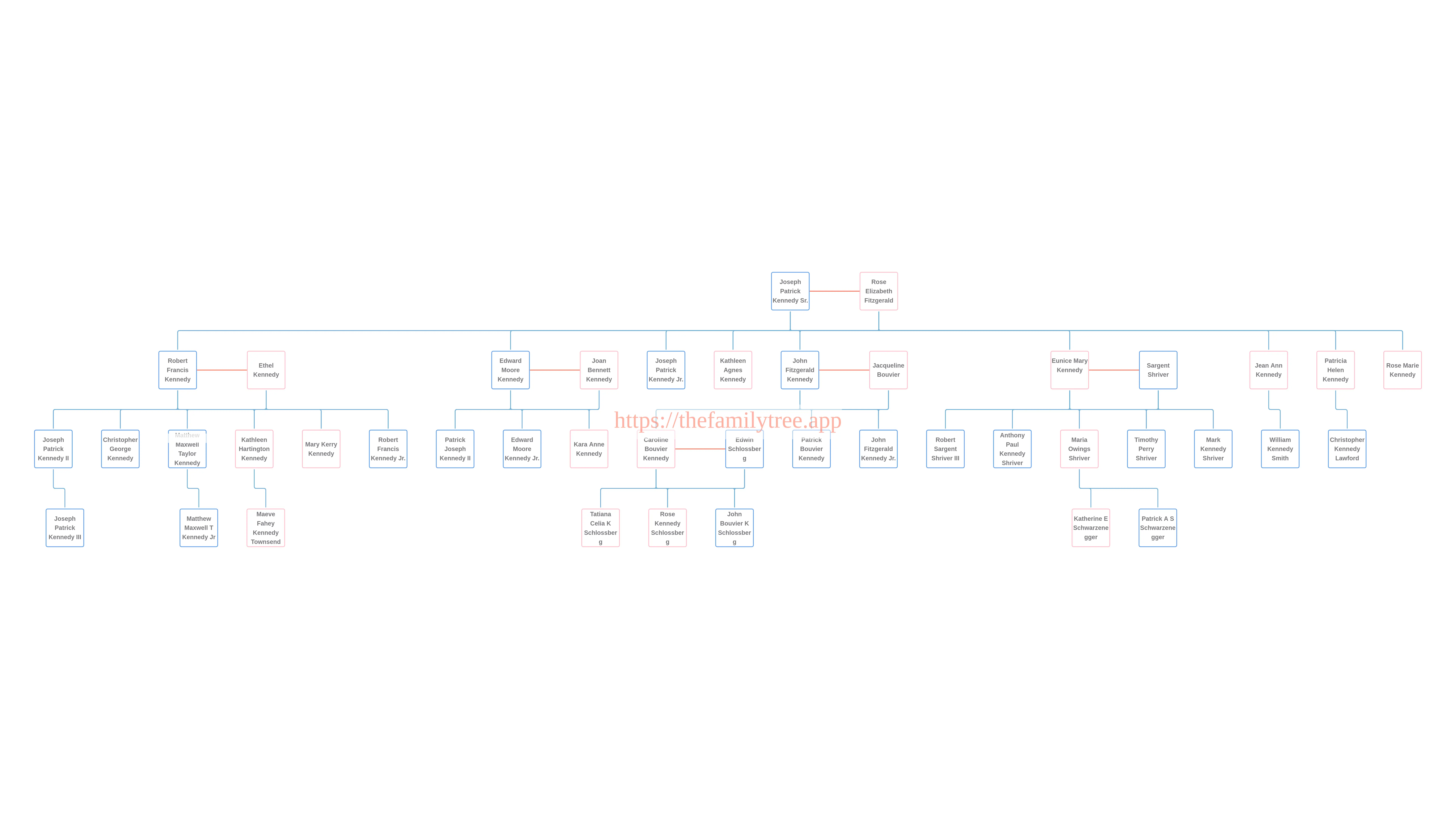 picture of a family tree of Kennedy Family displaying multiple generations